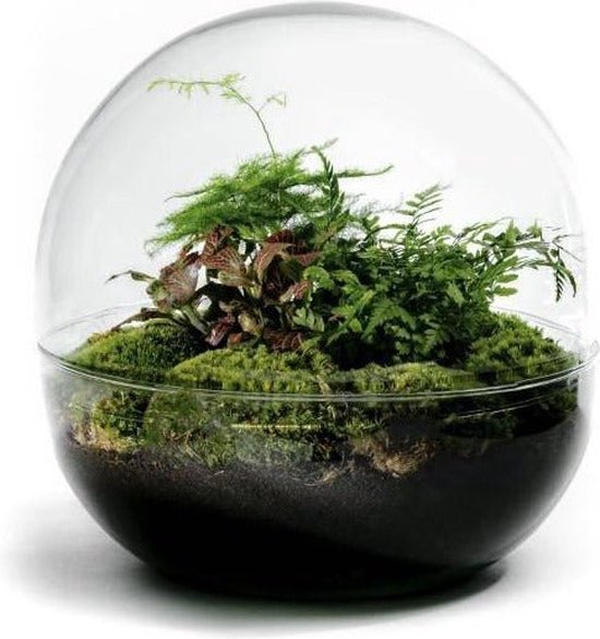 Biodome glas