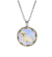 Collier Verre - Chien