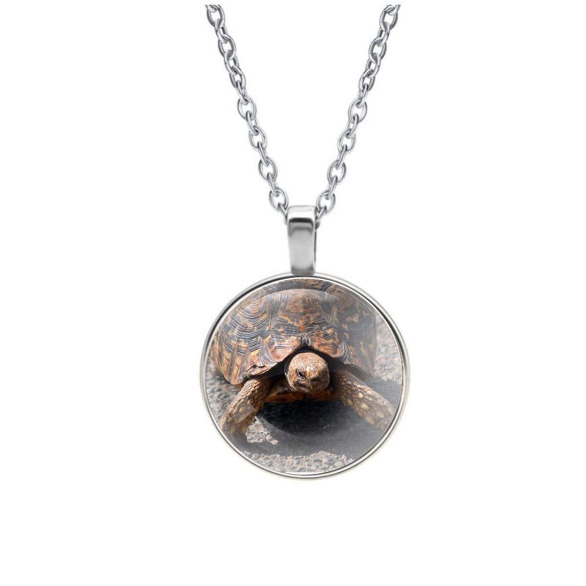 Ketting Glas - Schildpad