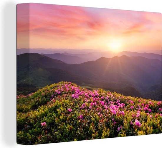 Peinture sur toile Fleurs - Berg - Coucher de soleil - Paysage - 40x30 cm - Décoration murale