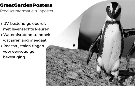 Posters de jardin extérieur Deux pingouins s'enlaçant sur un rocher - noir et blanc - 90x60 cm - Toile jardin - Affiche extérieur
