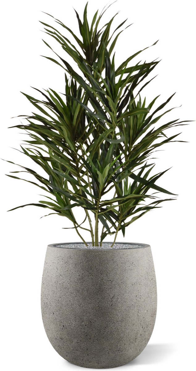 maxifleur Kunstplanten Draceana Reflexa Anita kunstplant 70cm Groen