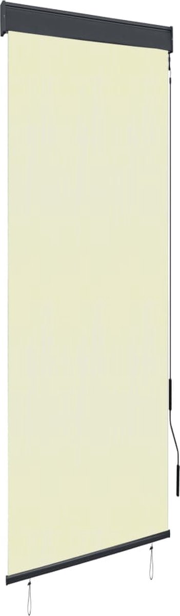 Prolenta Premium - Rolgordijn voor buiten 60x250 cm crème