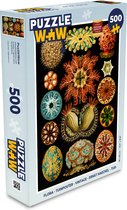 Puzzel Vintage - Ernst Haeckel - Zeedier - Natuur - Zee - Kunst - Legpuzzel - Puzzel 500 stukjes