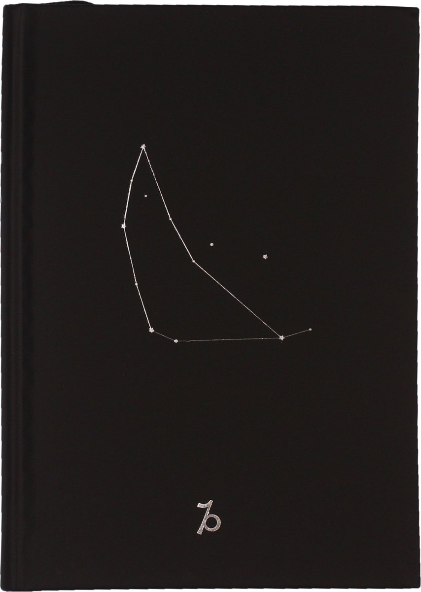 D6053-10 Dreamnotes notitieboek sterrenbeeld: steenbok 19 x 13,5 cm