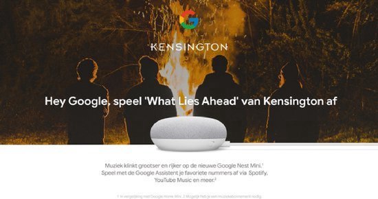 Google Nest Mini - Smart Speaker / Grijs / Nederlandstalig — afbeelding 5