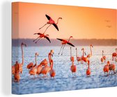 Canvas - Schilderij - Vogel - Flamingo - Zonsondergang - Water - Tropisch - Foto op canvas - 180x120 cm - Canvas vogels - Muurdecoratie