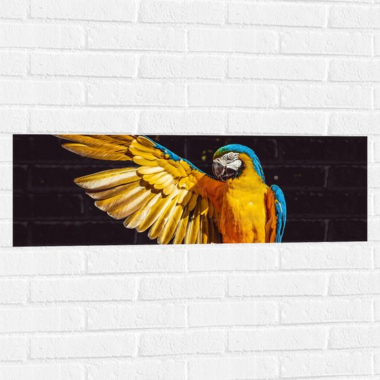 WallClassics - Muursticker - Ara Papegaai met Geel Gouden Vleugels - 90x30 cm Foto op Muursticker
