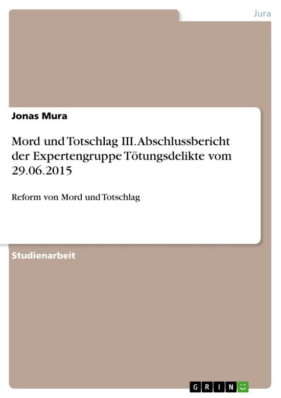 Mord und Totschlag III. Abschlussbericht der Expertengruppe  ... - cover