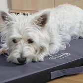 Scruffs Expedition Mat - Vuil- & waterafstotend outdoor matras voor honden  - Voor binnen en buiten - Bruin of grijs - XS / S / M / L / XL - Kleur: Grijs, Maat: Large