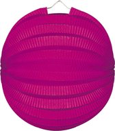 Fuchsia Lampion Bol 23cm