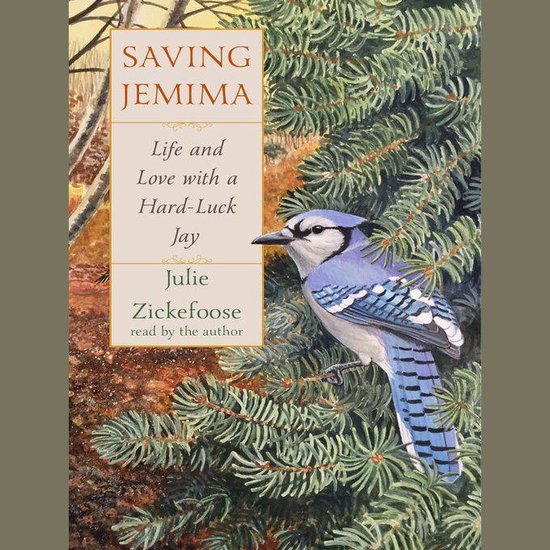 Saving Jemima - cover