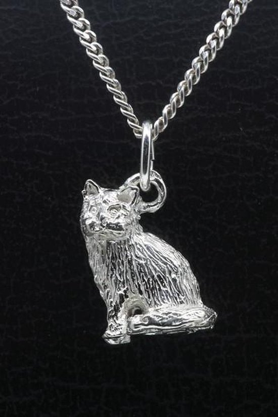 Zilveren Angora kat zittend groot ketting hanger | bol.com