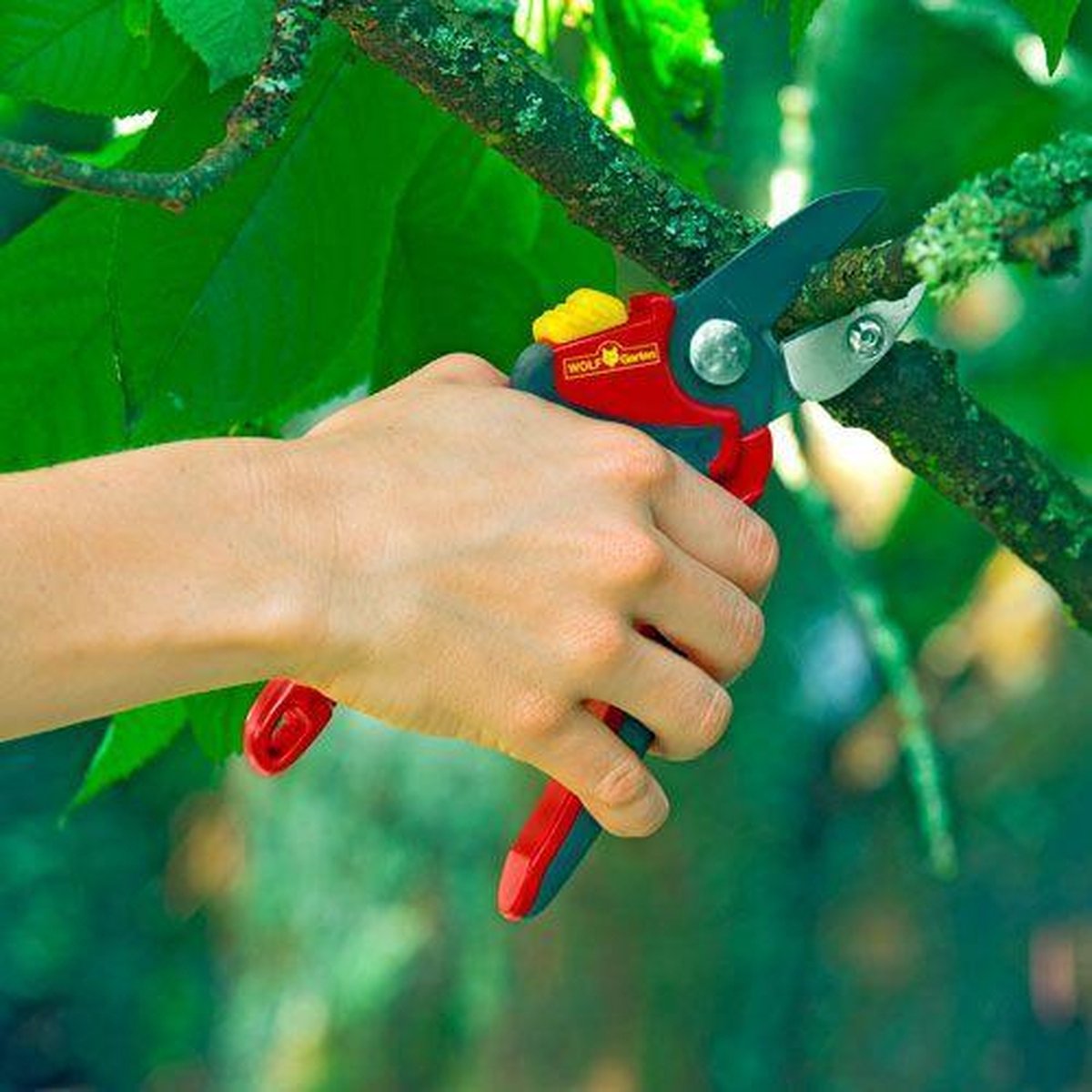 WOLF-Garten RS 4000 Aambeeldschaar epv-b02