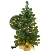 Excellent Trees® LED Jarbo Green Sapin de Noël artificiel - 60 cm - Version Luxe - 35 lumières