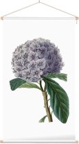 Textielposter Botanisch Brunfelsia Aquarel 2 (Brunfelsia) - 40 x 70 cm