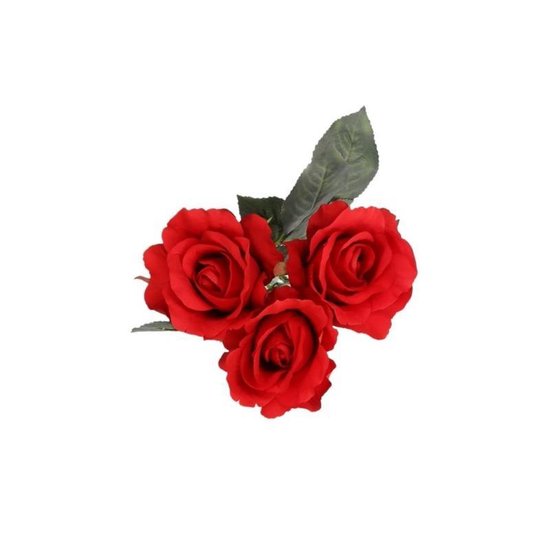 Valentijnscadeau 3 rode rozen vaas | bol.com