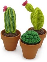 Cactussen haken (haakpakket)