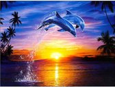 Diamond Painting Ondergaande zon en dolfijnen 30x40cm. (Volledige bedekking - Ronde steentjes) diamondpainting inclusief tools