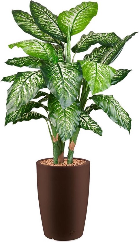 HTT - Kunstplant Dieffenbachia in Genesis rond bruin H140 cm