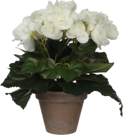 Witte Begonia kunstplant met bloemen 25 cm in grijze pot -  Kunstplanten/nepplanten -... | bol.com
