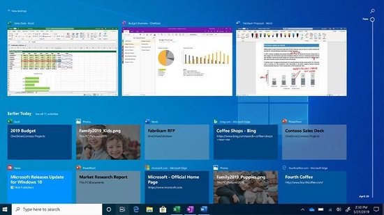 Microsoft Windows 10 Professional - Nederlands