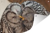 Cuddling Owls Couple affiche de jardin en vrac 120x80 cm - Toile de jardin / Toile d'extérieur / Peintures pour l'extérieur (décoration de jardin)