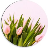 Dibond Wandcirkel - Roze Tulpen met Groene Bladeren - 50x50cm Foto op Aluminium Wandcirkel (met ophangsysteem)