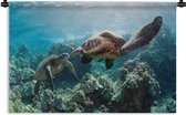 Wandkleed Schildpad - Twee zeeschildpadden Wandkleed katoen 90x60 cm - Wandtapijt met foto