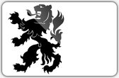 Vlag gemeente Noordwijk - 70 x 100 cm - Polyester