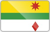 Vlag gemeente Lansingerland - 70 x 100 cm - Polyester
