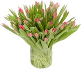 Roze Tulpen Boeket - 30 Tulpen - Gratis Verzending