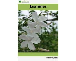Jasmines