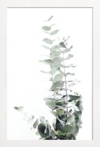 JUNIQE - Poster in houten lijst Eucalyptus foto -60x90 /Groen & Wit