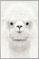 JUNIQE - Poster met kunststof lijst Smiling Alpaca -13x18 /Wit