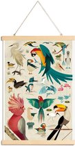 JUNIQE - Posterhanger Vintage vogels -30x45 /Kleurrijk