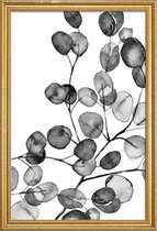 JUNIQE - Poster met houten lijst Eucalyptus waterverf zwart-wit -13x18