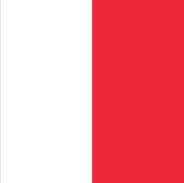 Vlag Frans-Guyana 200x300cm - Glanspoly