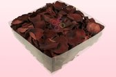 Rozenblaadjes | 100% natuurlijk | Chocolade | 2 liter