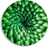 Forex Wandcirkel - Groene Gewassen  - 40x40cm Foto op Wandcirkel (met ophangsysteem)