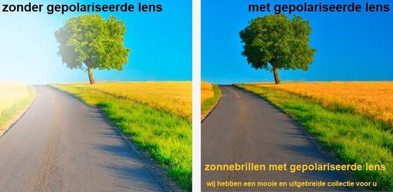 Az-eyewear Zonnebril Icons Cat. 3 Turtle/groen (2155) van Az Eyewear — afbeelding 3
