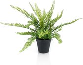 Emerald - Kunstplant in pot Varen struik 35cm - Kunstplanten voor binnen