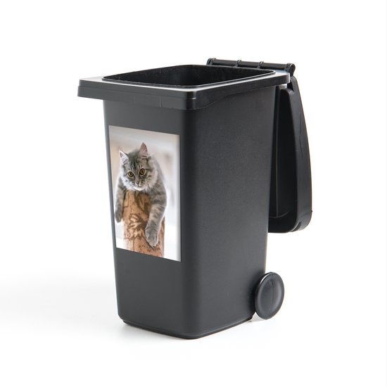 Container sticker Katten  - Grijze kat liggen op krabpaal - 40x60 cm - kliko sticker - weerbestendige containersticker