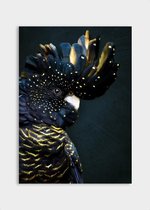 Poster Cockatoo ³ - Plexiglas - Meerdere Afmetingen & Prijzen | Wanddecoratie - Interieur - Art - Wonen - Schilderij - Kunst