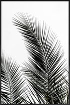 JUNIQE - Poster met kunststof lijst Palm Leaves 1 -13x18 /Kleurrijk