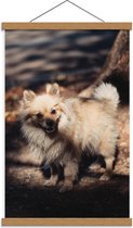 Schoolplaat – Hond in het Bos - 40x60cm Foto op Textielposter (Wanddecoratie op Schoolplaat)