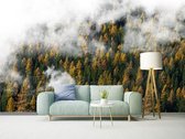 Professioneel Fotobehang Mist in de bergen - groen - Sticky Decoration - fotobehang - decoratie - woonaccesoires - inclusief gratis hobbymesje - 415 cm breed x 280 cm hoog - in 7 verschillend