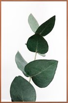 JUNIQE - Poster met kunststof lijst Eucalyptus 4 -40x60 /Groen