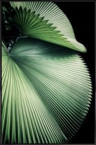 JUNIQE - Poster in kunststof lijst Sharp Palm -40x60 /Groen