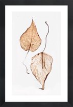 JUNIQE - Poster in houten lijst Delicate Leaves -40x60 /Bruin & Groen